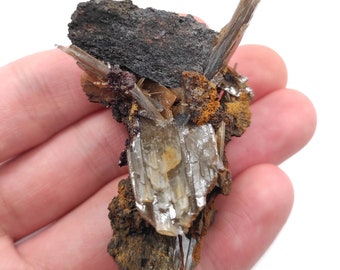 May include: A cluster of brown, gray, and silver crystals on a dark brown matrix. The crystals are translucent and have a striated texture.