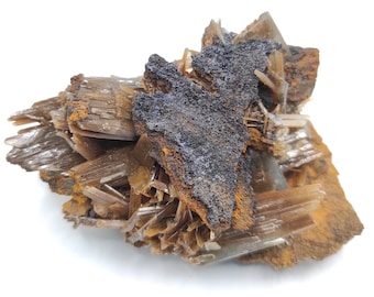 68g Brown and Blue Barite Specimen - Nador, Morocco - Barite Mineral Specimen - Blue Baryte from Morocco - Natural Barite Crystal Cluster
