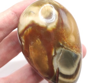 141g Jaspe policromado Tumble Jasper Palmstone Natural Pulido Policromado Jaspe Cristal Madagascar Gran Jaspe Policromado Jaspe del Desierto