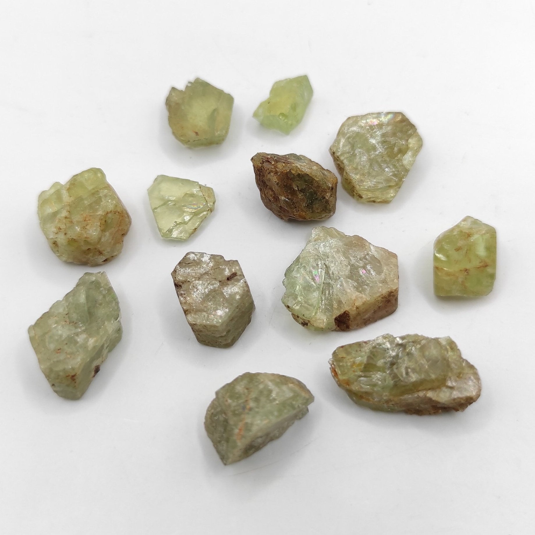 グリーンアパタイト【APATITE/燐灰石】カナダ トリーヒル 21g カナダ