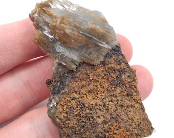May include: A cluster of brown and gray crystals on a rough, brown, textured rock.