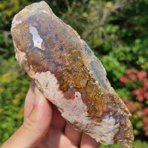May include: A natural stone specimen with a rough-cut edge, displaying a range of colours. The stone features brown, orange, white, and green tones. The surface has a textured appearance, with visible patterns and colour variations. The stone is held in a hand.
