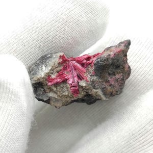 May include: A mineral specimen featuring a cluster of vibrant, deep pink crystals radiating from a dark, textured matrix. The crystals have a needle-like appearance, contrasting with the rough, gray and black rock. The specimen is held against a white background.