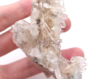 May include: A cluster of clear quartz crystals with a milky white hue. The crystals are arranged in a cluster, with some of the crystals pointing upwards and others pointing downwards. The crystals are translucent and have a slight sparkle.