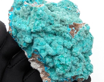 May include: A close-up of a turquoise mineral specimen with a rough, textured surface. The mineral has a crystalline structure with areas of brown and silver hues. The specimen is held by a black gloved hand against a white background.