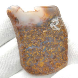 May include: A polished, freeform agate slice with a brown, white, and orange color pattern. The agate has a unique, irregular shape and a smooth, polished surface.