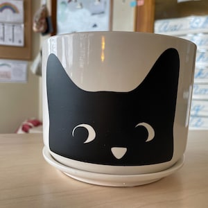 Peeking Cat Planter - 6&quot; pot