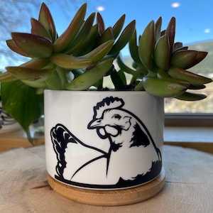 Cheeky Chicken Ceramic Planter