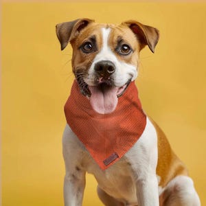 Gepersonaliseerde hondenbandana, feloranje huisdierensjaal voor kleine tot grote honden en katten, gezellig katoenen cadeau voor huisdieren, handgemaakt ademend accessoire