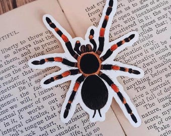 Red Knee Tarantula Spider Sticker