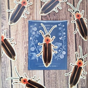 May include: Multiple firefly stickers featuring dark brown wings and orange-red heads, arranged around a central rectangular blue card. The card displays a white line drawing of blackberry branches and the text "BLACKBERRY FOREST ART" and "GLOWS IN THE DARK."