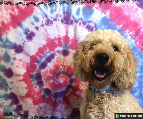 tie dye poodle