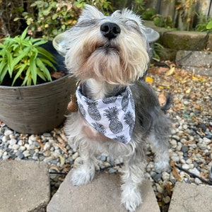 Pineapple Print Dog Bandana