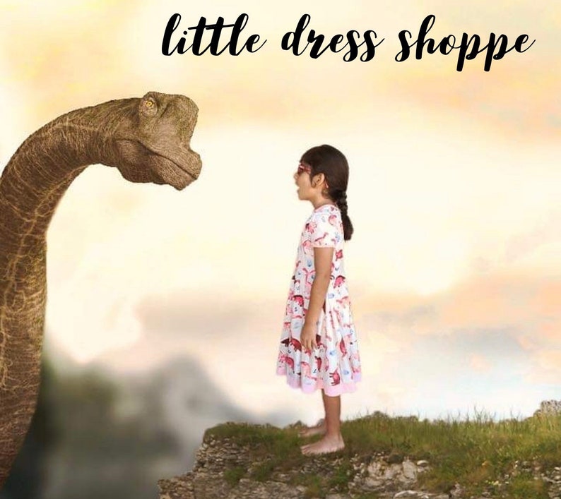 Pink Dinosaur Twirly Dress Toddler Dress Animal Print Dino Etsy