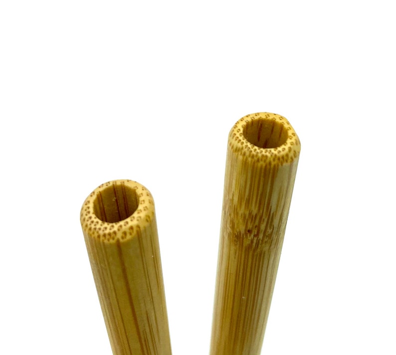 2 Reusable straws with straw cleaner in handmade 100 cotton canvas bag