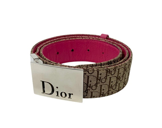 dior trotter monogram