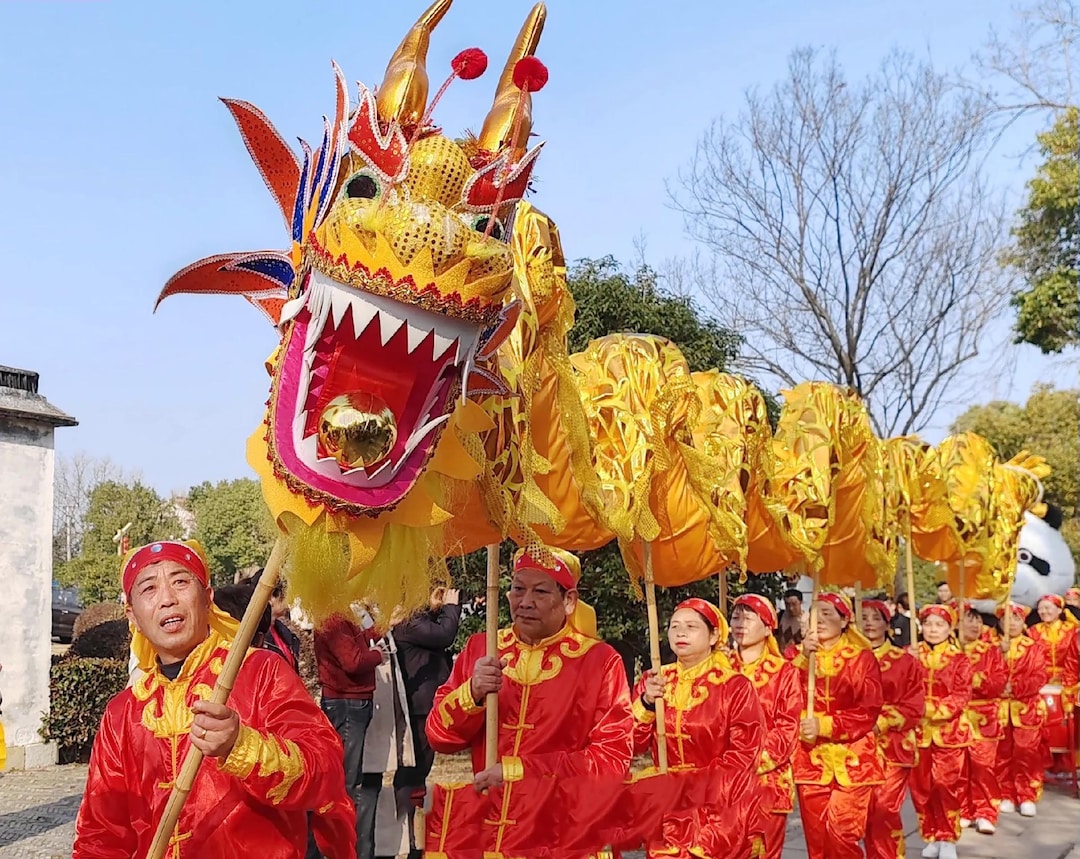 Dragon Dance,snakes Dancing , Big Snakes Large Dragon Dance