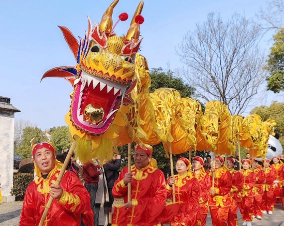 Large Chinese Dragon Dance Costume, Festival Celebration, 18