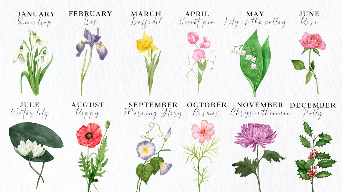 Custom Birth Month Birth Flower Shirt Gift for Her Flower Etsy