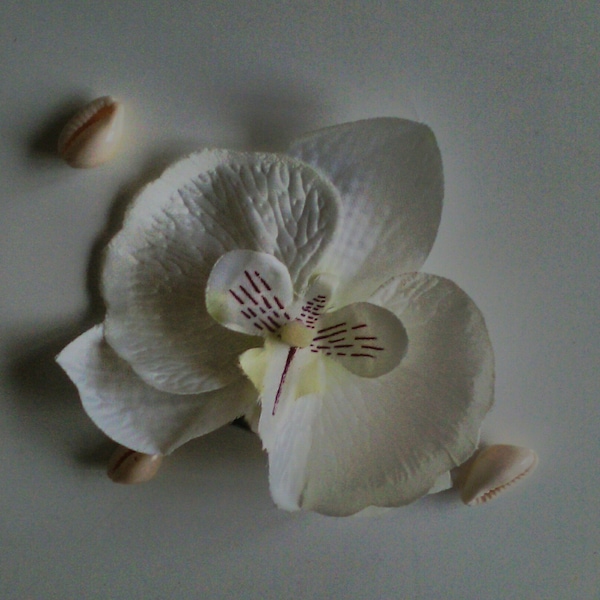 Fleur cheveux orchidée blanche