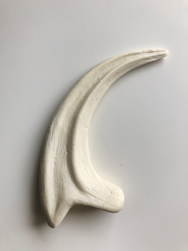 Fossilized Velociraptor claw, resin replica Beige (non peinte)