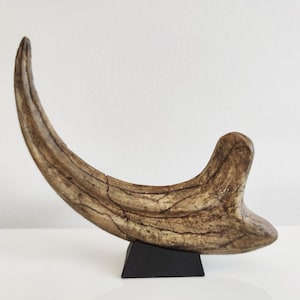 Fossilized Velociraptor claw, resin replica image 1