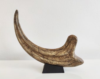 Fossilized Velociraptor claw, resin replica