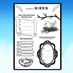 All About Birds Worksheet - Digital Download - Printable