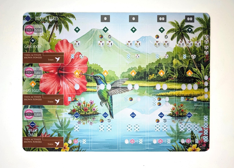 Op de afbeelding: Een kleurrijk spelbord met een kolibrie, een grote rode hibiscusbloem en een tropisch landschap. Het bord bevat tekst zoals "PLAY A BIRD", "GAIN FOOD" en "LAY EGGS". De achtergrond toont een meer, bergen en palmbomen.