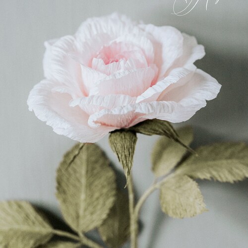 Crepe Paper Rose Template With Instructions - Etsy