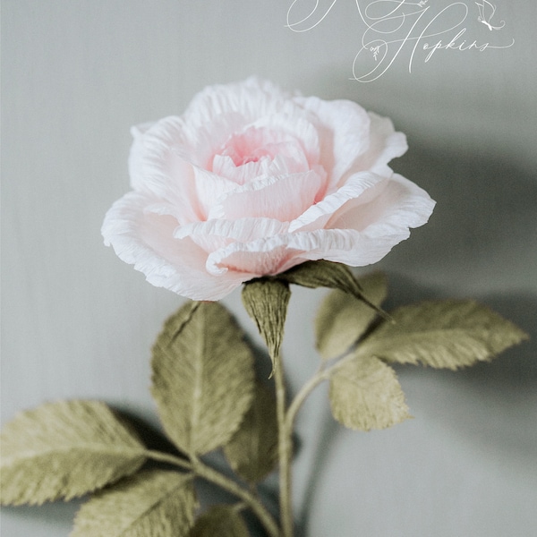 Crepe Paper Rose Template with Instructions - svg/dxf/pdf/png/Jpeg