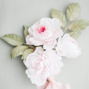 Crepe Paper David Austin Mary Delany Rose Template with Instructions - svg/dxf/pdf/png/Jpeg