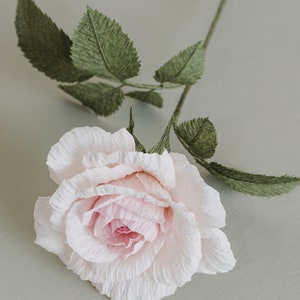 Crepe Paper Rose Template With Instructions - Svg/dxf/pdf/png/jpeg ...