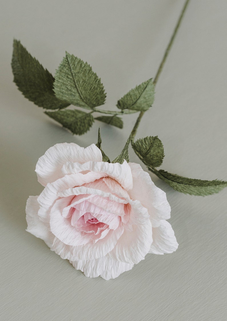Crepe Paper Rose Template With Instructions Svg/dxf/pdf/png/jpeg - Etsy
