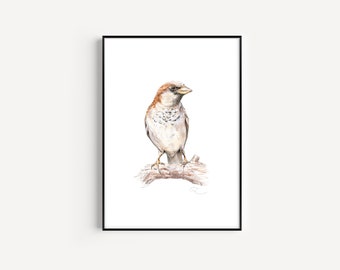 Sparrow Bird Watercolour, Printable Art