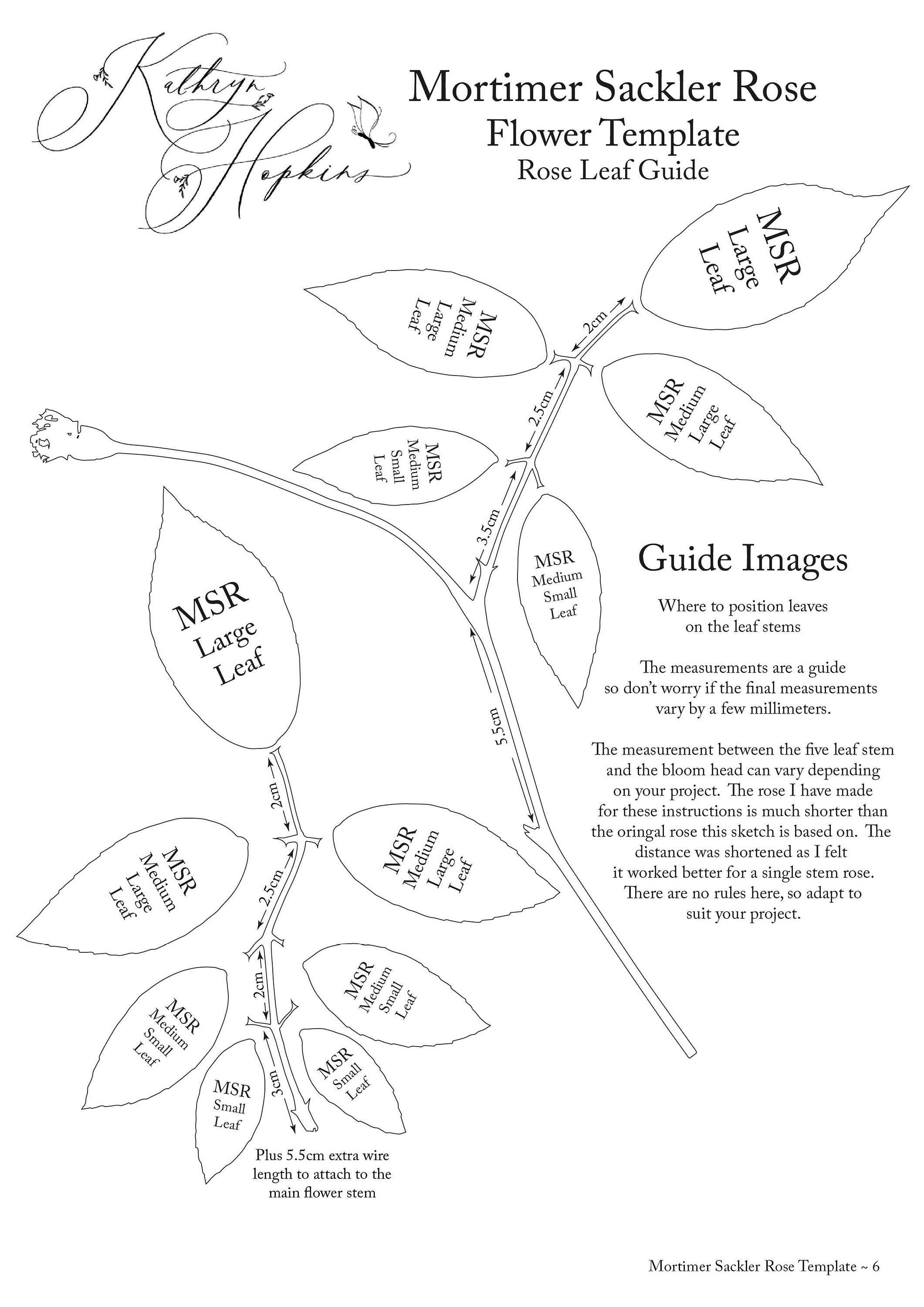Crepe Paper David Austin Mary Delany Rose Template With Instructions ...
