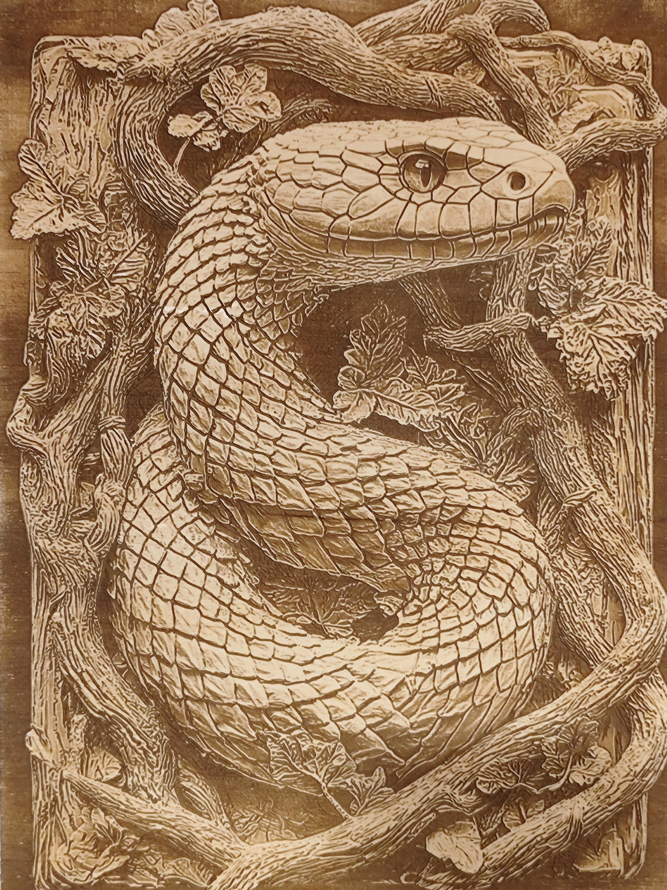 Laser Engraved Snake Wood Wall Art - Etsy