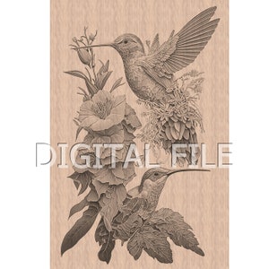 Lasergravur Dateien, Kolibri, 3D Illusion, Holzgravur, Glowforge Laser Ready.