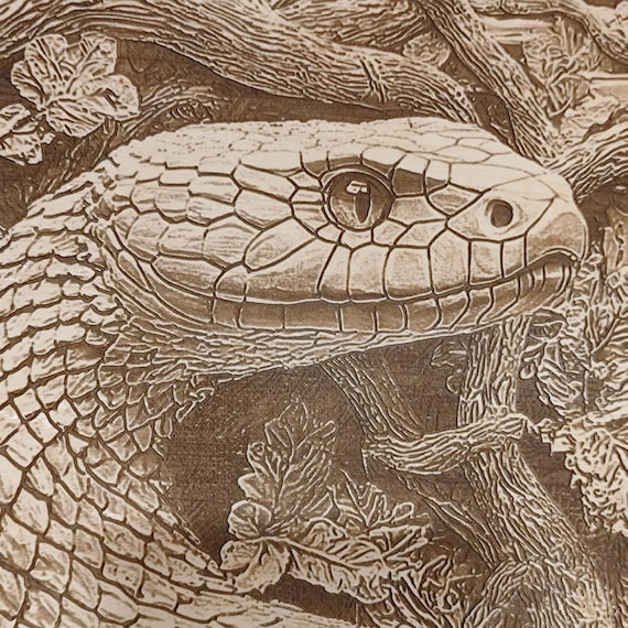 snake出品　直筆資料セット Mattheus Merian Snakes- Antique Engraving - Authentic Vintage Posters
