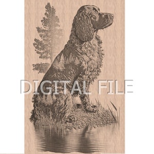 Lasergravur, Dateien, American Water Spaniel, 3D Illusion, Holzgravur, Glowforge Laser Ready.