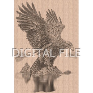Lasergravur Dateien, Weißkopfseeadler, 3D Illusion, Holzgravur, Glowforge Laser Ready.