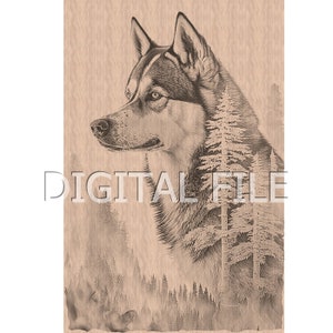 Lasergravur Dateien, Siberian Husky, 3D Illusion, Holzgravur, Glowforge Laser Ready.