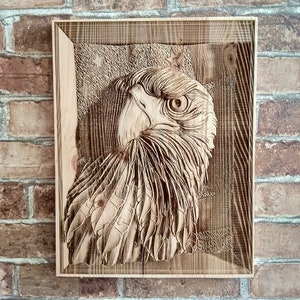 Wood Burning American Bald Eagle Wall Art, US Eagle Wall Decor, 3D Illusion.