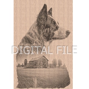 Lasergravur Dateien, Border Collie, 3D Illusion, Holzgravur, Glowforge Laser Ready.