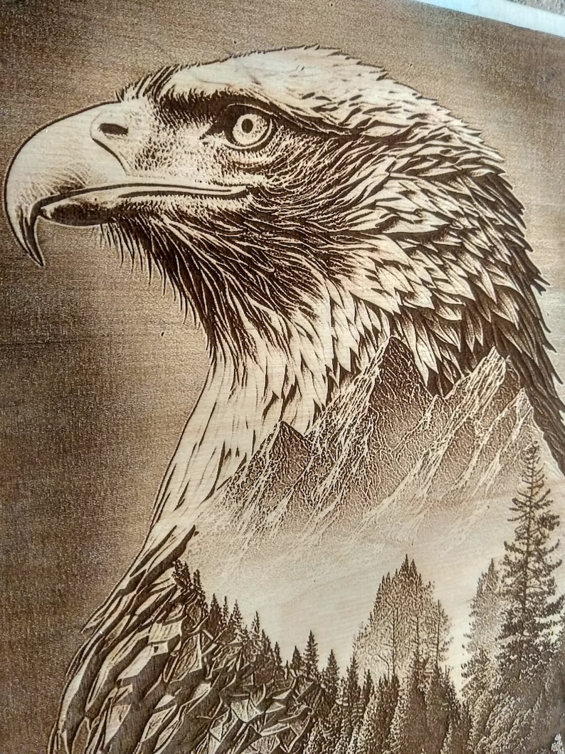 Bald Eagle 3D Illusion Laser Engraving Wall Art. Etsy