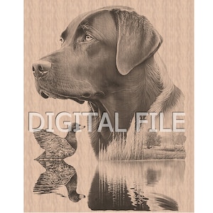 Lasergravur, Dateien, Labrador Retriever, 3D Illusion, Holzgravur, Glowforge Laser Ready.