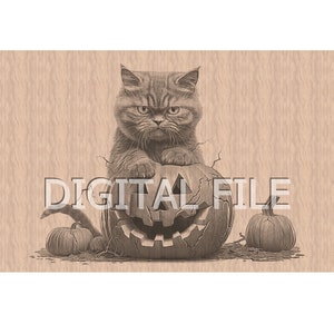 Lasergravur Dateien, Spooky Season png, Halloween Katze Kürbis, 3D Illusion, Holzgravur, Glowforge Laser Ready.