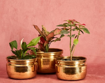 Brass Planter in Antique Metal Planter (Set of 3)