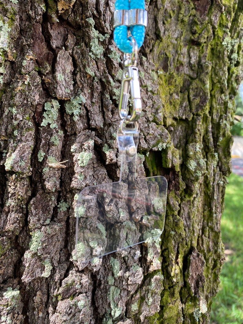May include: A clear plastic badge holder with a silver clip attached to a light blue lanyard. The lanyard is hanging from a tree trunk.