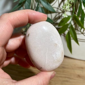 May include: A smooth, oval-shaped, light pink stone. The stone has subtle variations in color and texture, with a few darker spots. The background includes green foliage and a wooden surface.